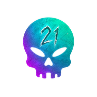BR21