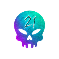 BR1 cheat BR21 — logo